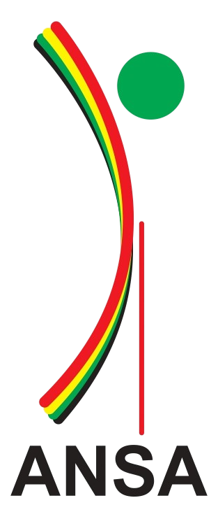 ANSA Logo